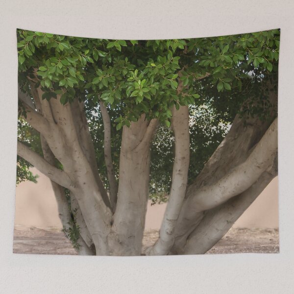 Item preview, Big Bold Tree designed and sold by heatherfriedman.
