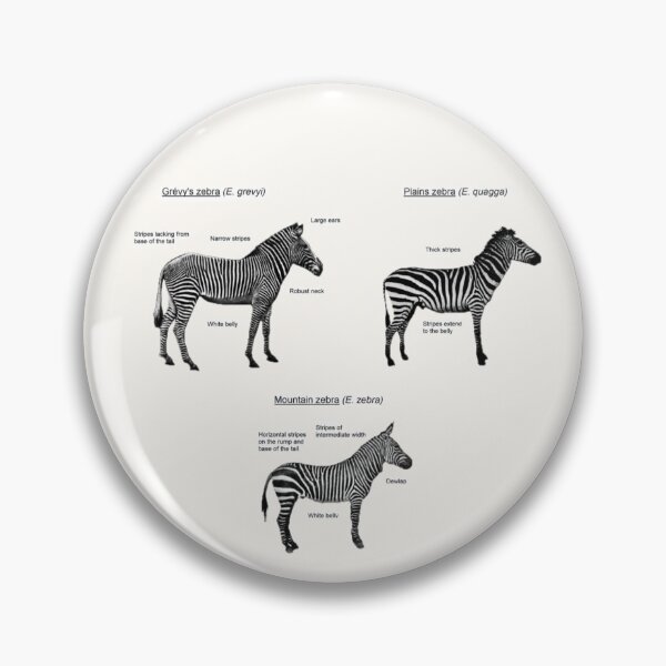 Item preview, Zebra Species  designed and sold by Amanda1775.