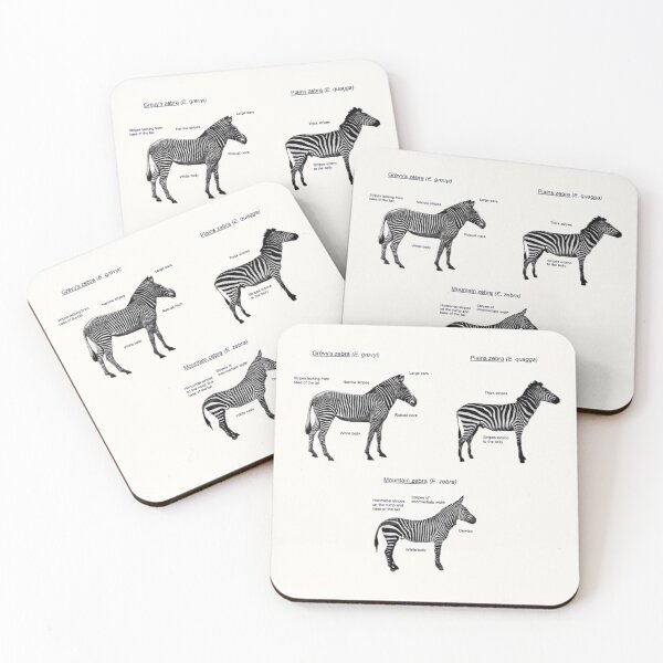 Item preview, Zebra Species  designed and sold by Amanda1775.