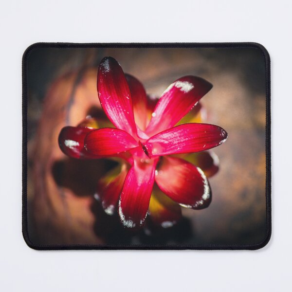 Item preview, Red flower reflex designed and sold by tanavi01.