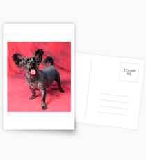 Satellite dishes Postcards