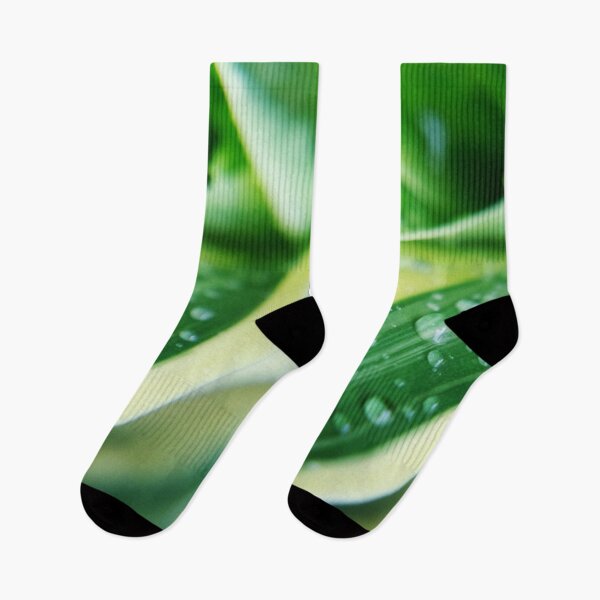 Item preview, Raindrops on the Green Cactus Plant designed and sold by likbatonboot.
