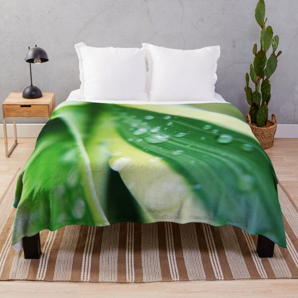 Item preview, Raindrops on the Green Cactus Plant designed and sold by likbatonboot.