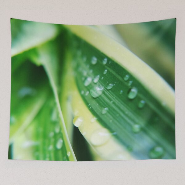 Item preview, Raindrops on the Green Cactus Plant designed and sold by likbatonboot.