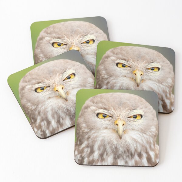 Item preview, Barking Owl designed and sold by robdanimalphotography.