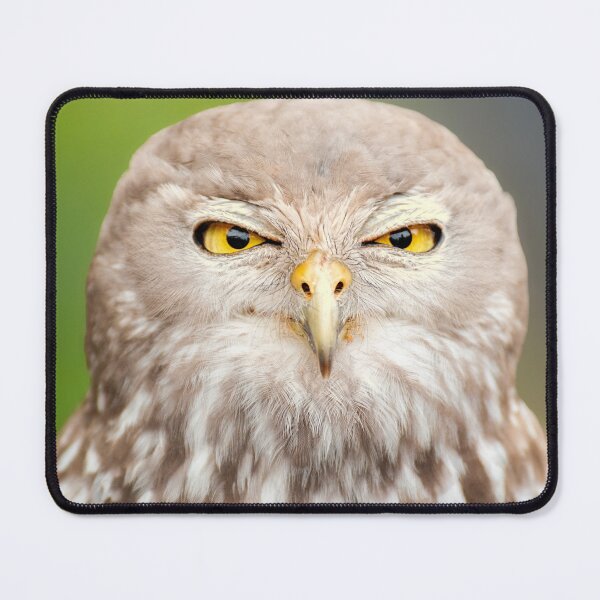 Item preview, Barking Owl designed and sold by robdanimalphotography.