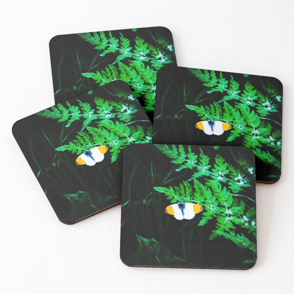 Item preview, Orange tip on ferns designed and sold by Lonewolf53.