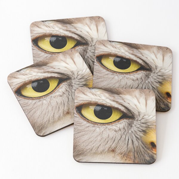 Item preview, Detailed closeup of the Barking Owls eye. designed and sold by robdanimalphotography.