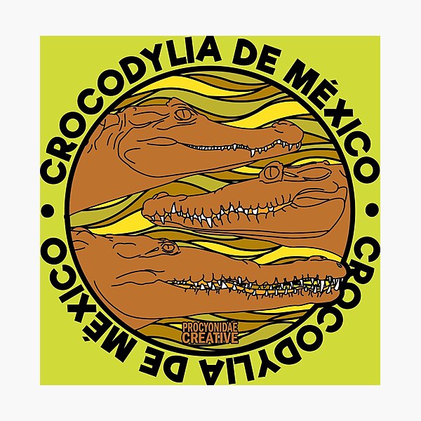 Item preview, Crocodylia de Mexico 7 designed and sold by Procyonidae Creative.