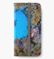 The blue Window iPhone Wallet/Case/Skin