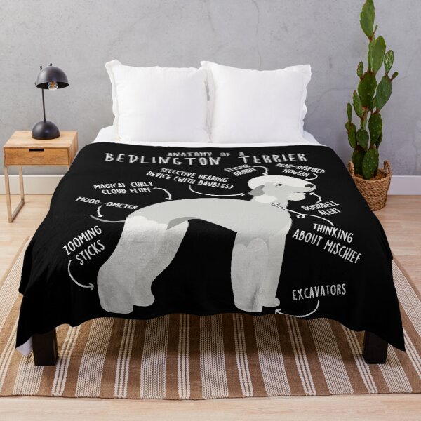 Item preview, Bedlington Terrier Anatomy designed and sold by Clara Hollins.