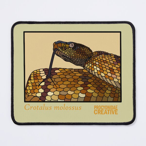 Item preview, Crotalus Molossus designed and sold by Procyonidae Creative.