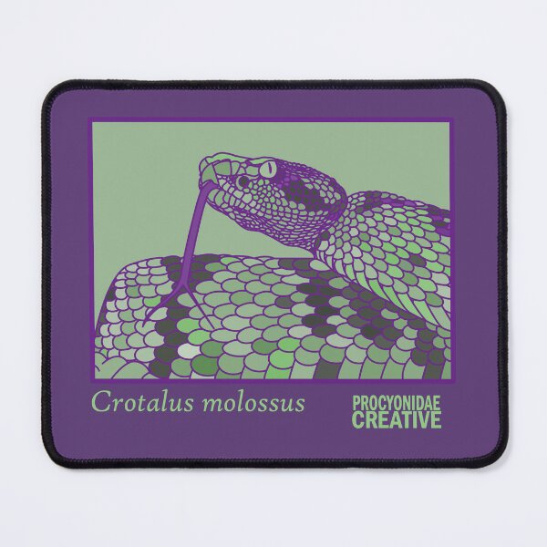 Item preview, Crotalus Molossus designed and sold by Procyonidae Creative.
