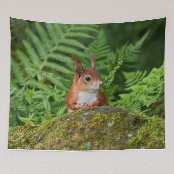 Item preview, Red Squirrel's Secret Haven designed and sold by rawshutterbug.