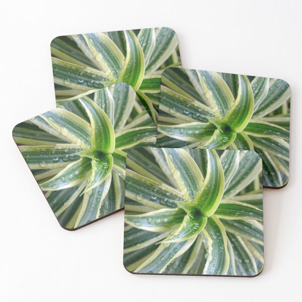 Item preview, Raindrops on the Green Spider Plant T-Shirts Stickers Magnets Phone Cases Pillows Totes Mugs Scarves Bags Backpack Duffle Bags Aprons  designed and sold by likbatonboot.