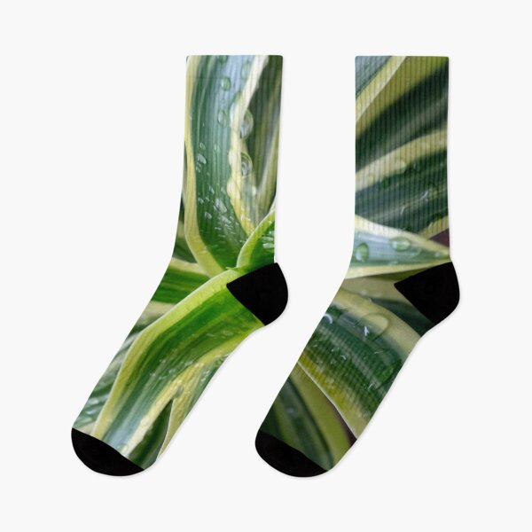 Item preview, Raindrops on the Green Spider Plant T-Shirts Stickers Magnets Phone Cases Pillows Totes Mugs Scarves Bags Backpack Duffle Bags Aprons  designed and sold by likbatonboot.