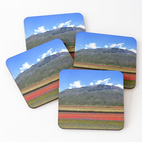 Item preview, Flowering of Castelluccio 2024 designed and sold by annalisa56.