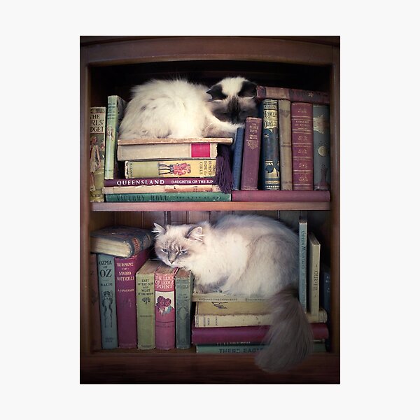 Item preview, Library Cats designed and sold by Sarah  Mac Illustration.