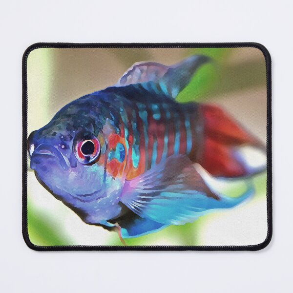 Item preview, Macropodus Opercularis Aquarium Fish designed and sold by taiche.