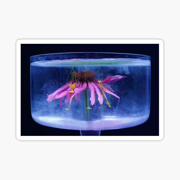 Echinacea Fantasy Sticker