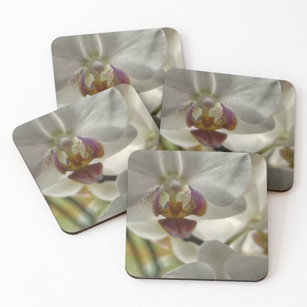 Item preview, White Orchid designed and sold by jalfc46.