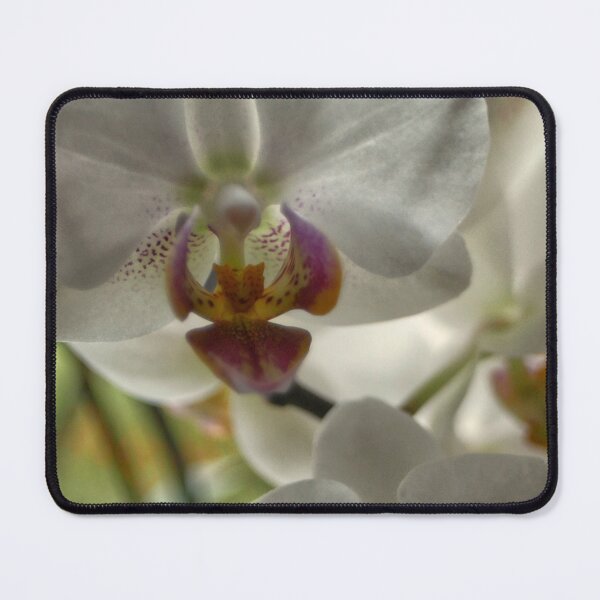 Item preview, White Orchid designed and sold by jalfc46.