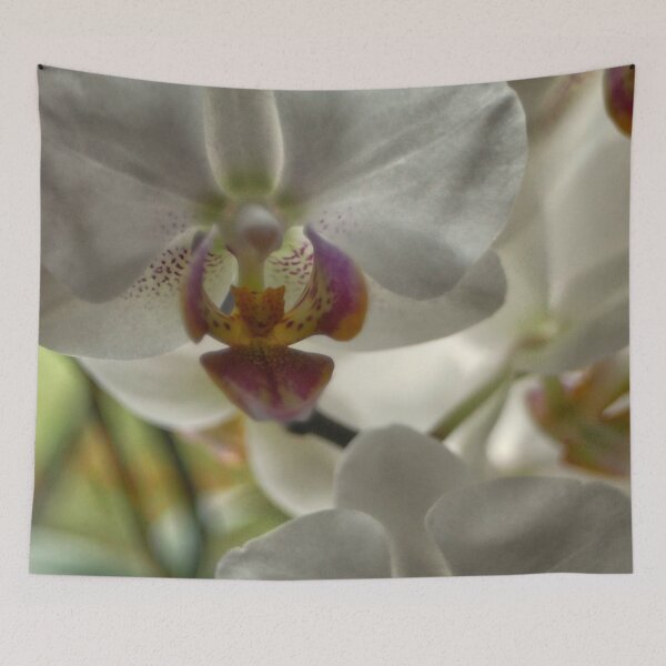 Item preview, White Orchid designed and sold by jalfc46.