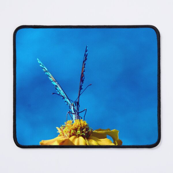 Item preview, Gulf Fritilarry Butterfly and Yellow Zinnia designed and sold by MercerImages.