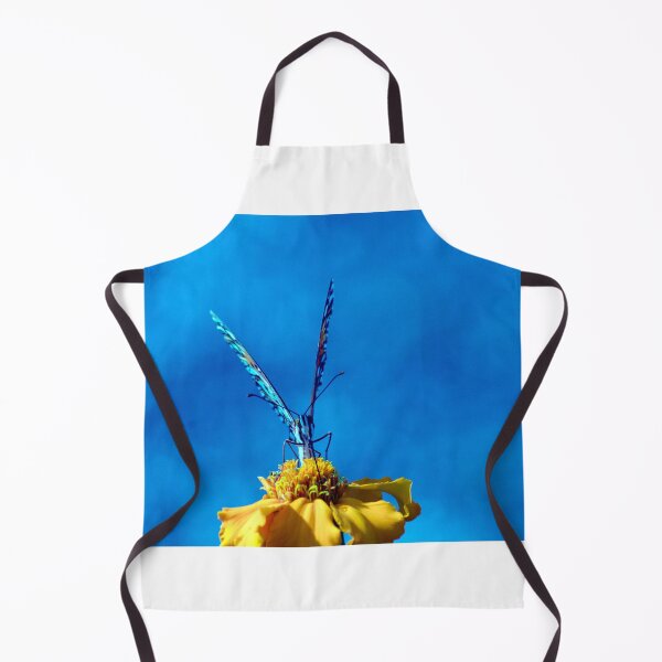 Item preview, Gulf Fritilarry Butterfly and Yellow Zinnia  designed and sold by MercerImages.