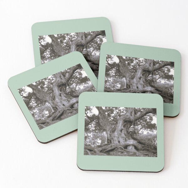 Item preview, Living Trees with Attitude designed and sold by Acearnie.