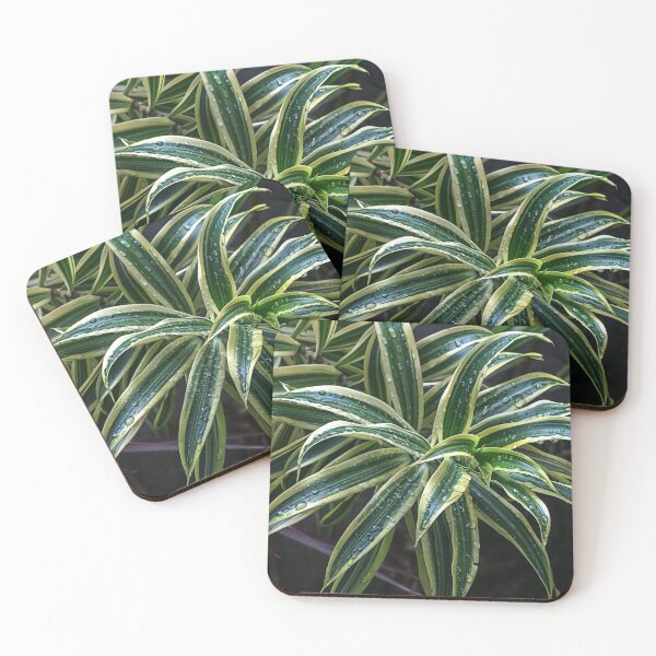 Item preview, Raindrops on the Green Spider Plant T-Shirts Stickers Magnets Phone Cases Pillows Totes Mugs Scarves Bags Backpack Duffle Bags Aprons  designed and sold by likbatonboot.