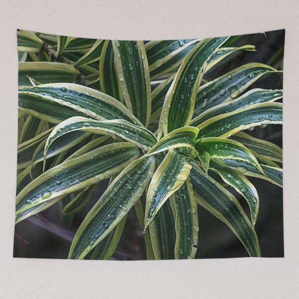 Item preview, Raindrops on the Green Spider Plant T-Shirts Stickers Magnets Phone Cases Pillows Totes Mugs Scarves Bags Backpack Duffle Bags Aprons  designed and sold by likbatonboot.