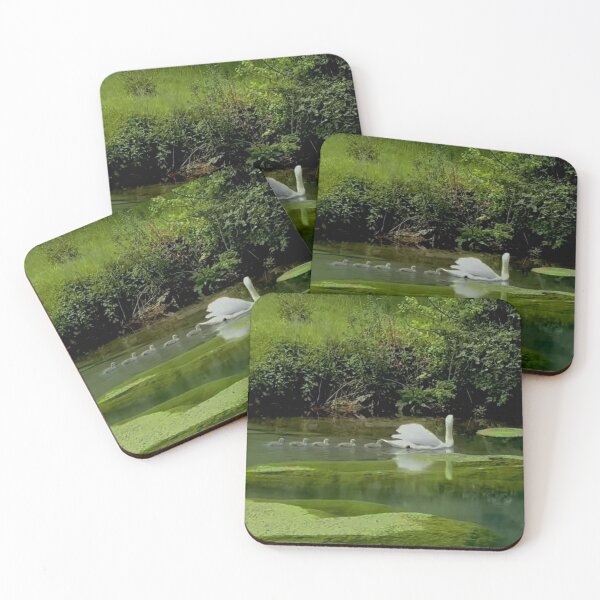 Item preview, Swan & cygnets designed and sold by ritusdesigns.