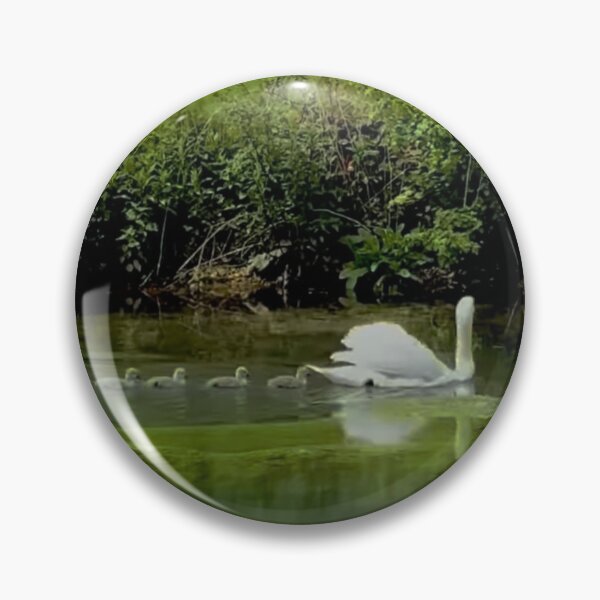 Item preview, Swan & cygnets designed and sold by ritusdesigns.