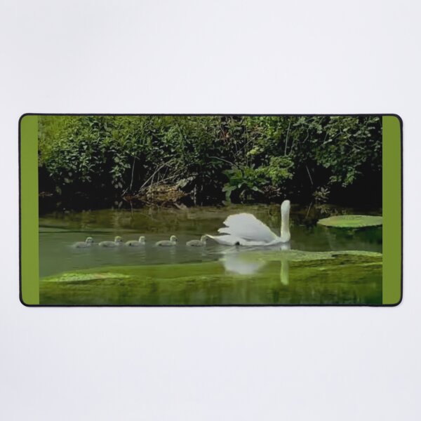 Item preview, Swan & cygnets designed and sold by ritusdesigns.