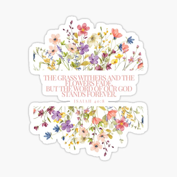 CelzE Shop Redbubble celze-shop-redbubble
