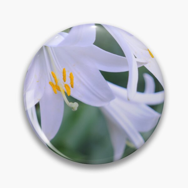 Item preview, White Wonders designed and sold by ColourMoods.