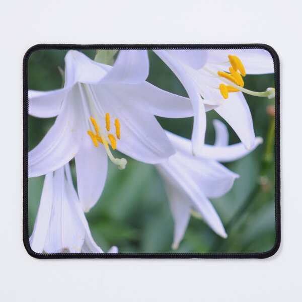 Item preview, White Wonders designed and sold by ColourMoods.