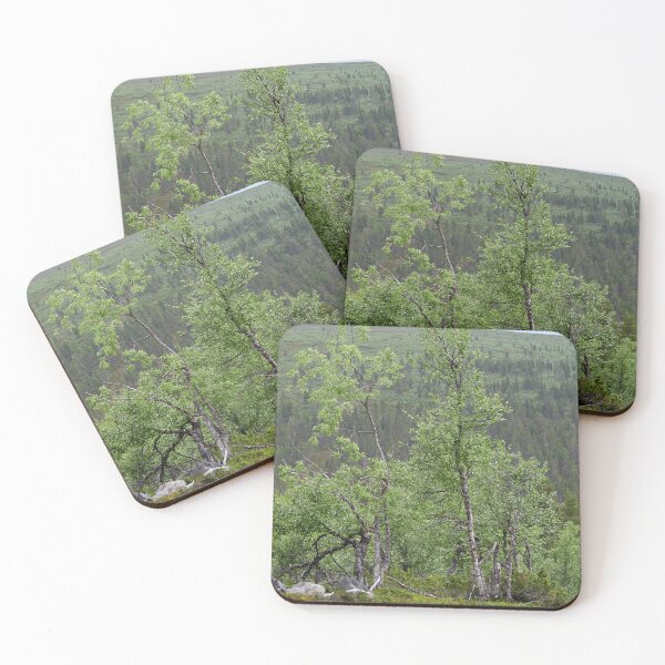 Item preview, Two birches as high as they get designed and sold by Jouko Lehto Photography.