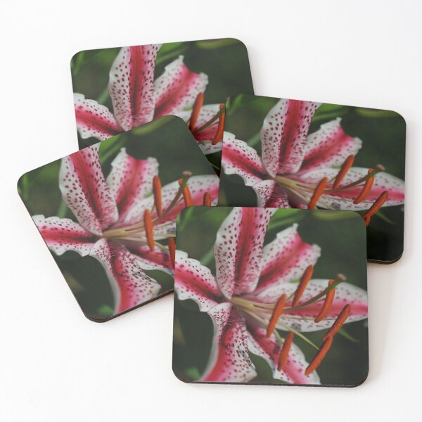 Item preview, Flores de Carnaval designed and sold by ColourMoods.