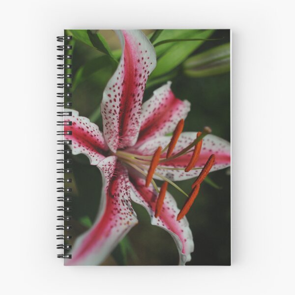 Item preview, Flores de Carnaval designed and sold by ColourMoods.