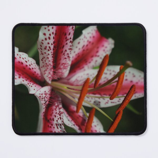 Item preview, Carnaval Blooms designed and sold by ColourMoods.