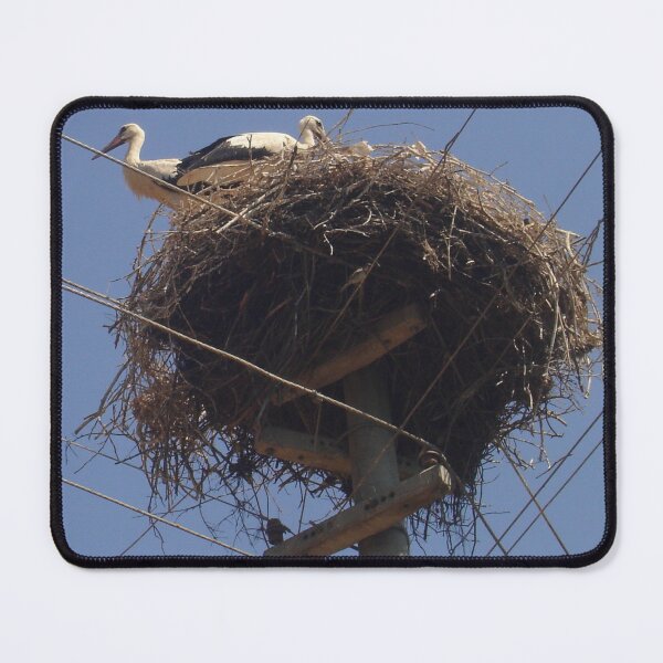 Item preview, A Breeding Pair Of White Storks in Yesilova Koyu Mugla designed and sold by taiche.