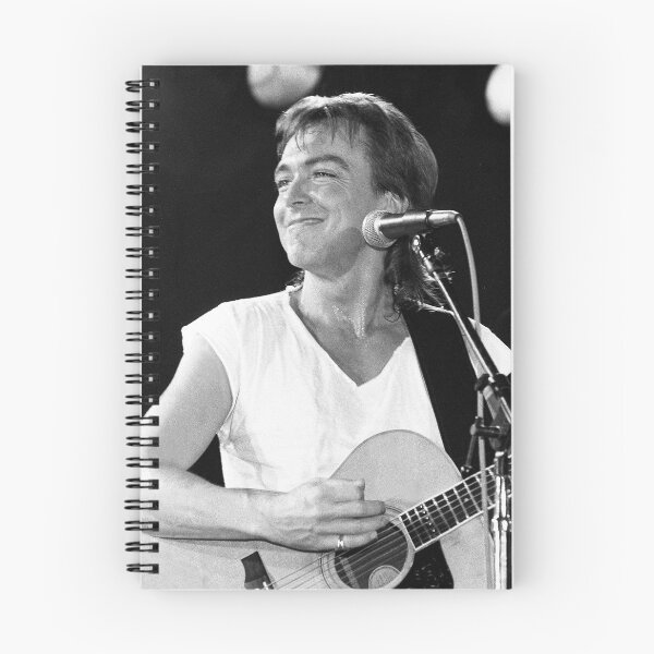 Item preview, David Cassidy - BW Photograph designed and sold by ConcertImages.