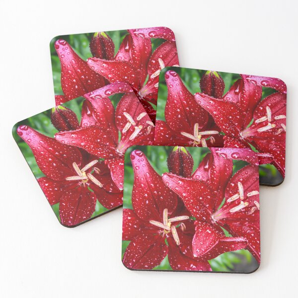 Item preview, Bedazzled after the rain designed and sold by Tamara Travers.