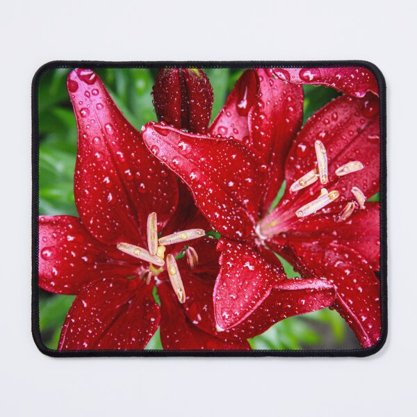 Item preview, Bedazzled after the rain designed and sold by Tamara Travers.