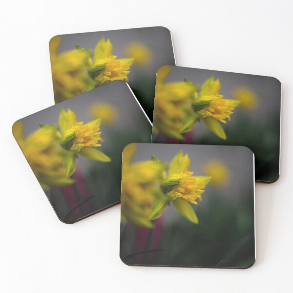 Item preview, daffodil in his natural space designed and sold by FifyShop09.