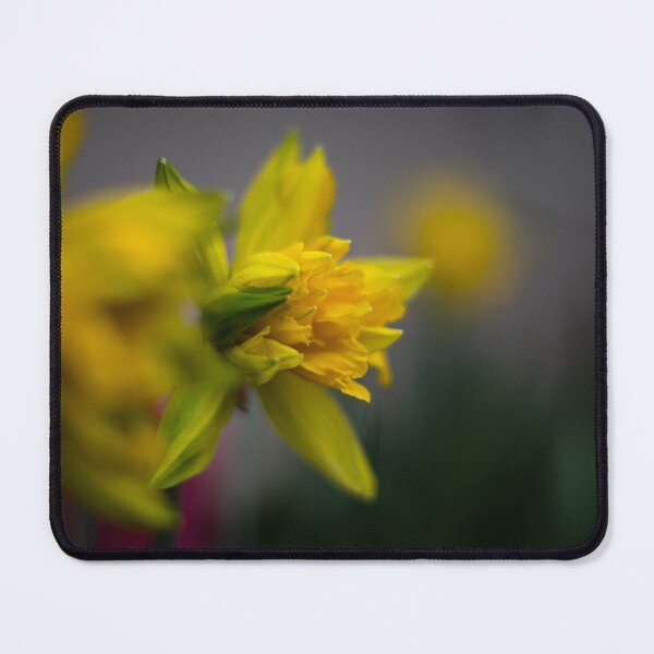 Item preview, daffodil in his natural space designed and sold by FifyShop09.