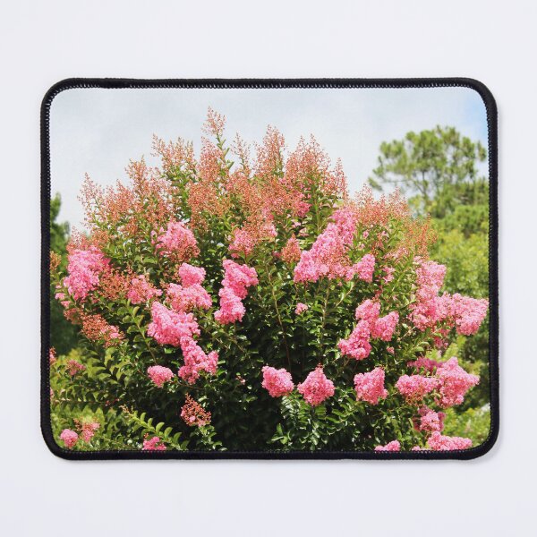 Item preview, Pink Blossoms On Tree designed and sold by Cynthia48.