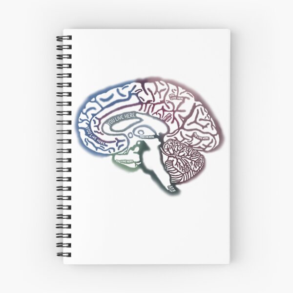 Item preview, Anatomical Brain designed and sold by saberbaber.